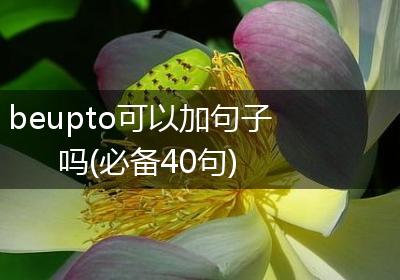 beupto可以加句子吗(必备40句)