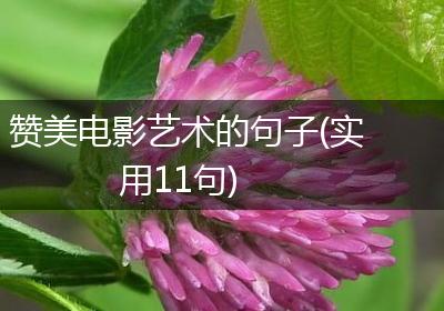 赞美电影艺术的句子(实用11句)