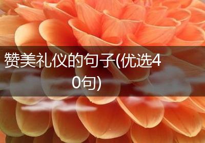 赞美礼仪的句子(优选40句)