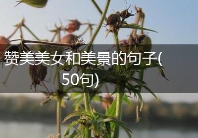 赞美美女和美景的句子(50句)