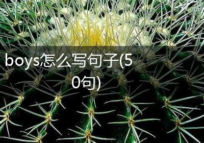 boys怎么写句子(50句)