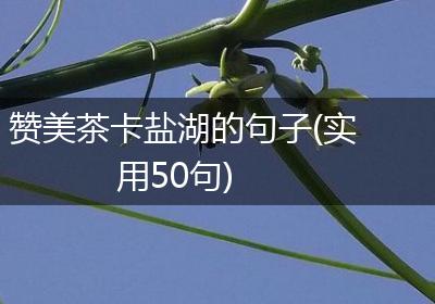 赞美茶卡盐湖的句子(实用50句)