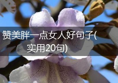 赞美胖一点女人好句子(实用20句)
