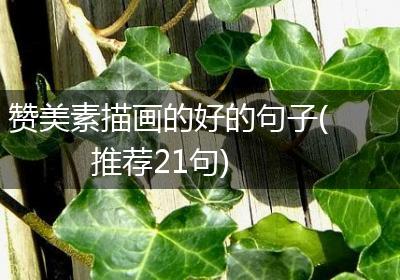 赞美素描画的好的句子(推荐21句)