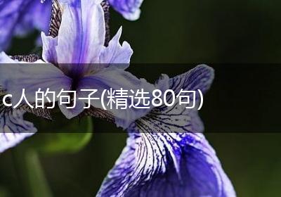 c人的句子(精选80句)
