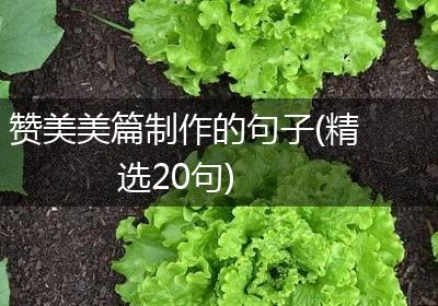 赞美美篇制作的句子(精选20句)