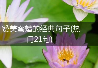 赞美蜜蜡的经典句子(热门21句)