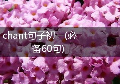 chant句子初一(必备60句)