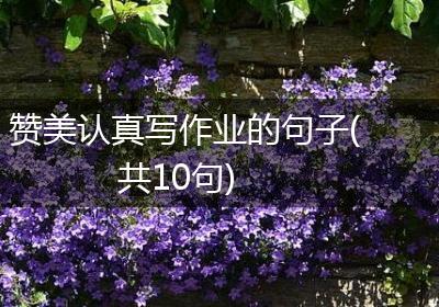 赞美认真写作业的句子(共10句)
