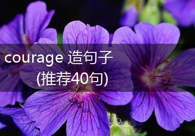courage 造句子(推荐40句)