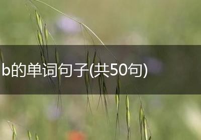 b的单词句子(共50句)
