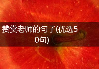 赞赏老师的句子(优选50句)