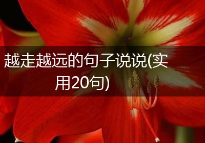 越走越远的句子说说(实用20句)