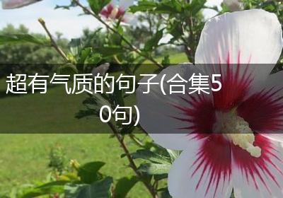 超有气质的句子(合集50句)