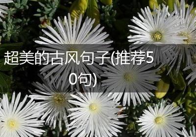 超美的古风句子(推荐50句)
