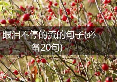 眼泪不停的流的句子(必备20句)