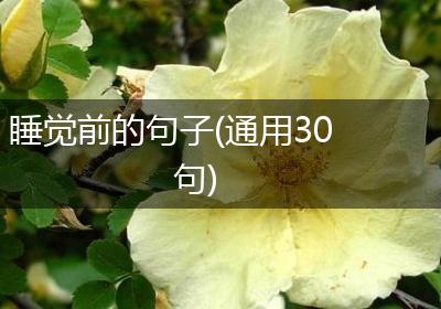睡觉前的句子(通用30句)