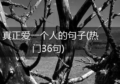 真正爱一个人的句子(热门36句)