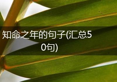 知命之年的句子(汇总50句)