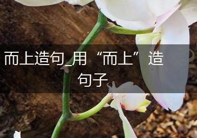 而上造句_用“而上”造句子