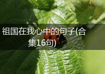 祖国在我心中的句子(合集16句)