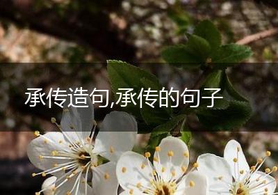 承传造句,承传的句子