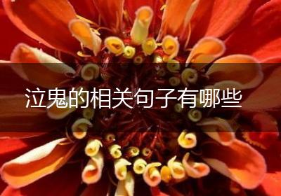 泣鬼的相关句子有哪些