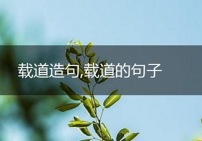 载道造句,载道的句子