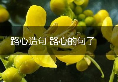 路心造句 路心的句子