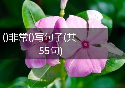 ()非常()写句子(共55句)
