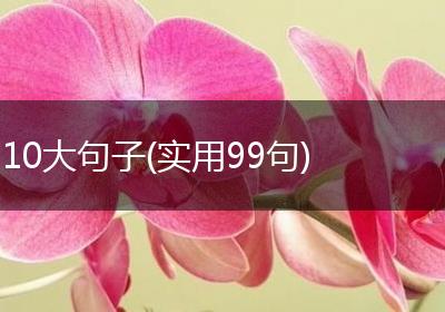 10大句子(实用99句)