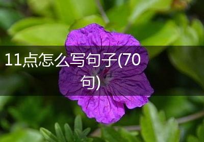 11点怎么写句子(70句)