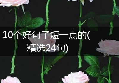 10个好句子短一点的(精选24句)