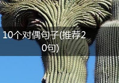 10个对偶句子(推荐20句)