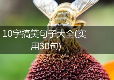 10字搞笑句子大全(实用30句)