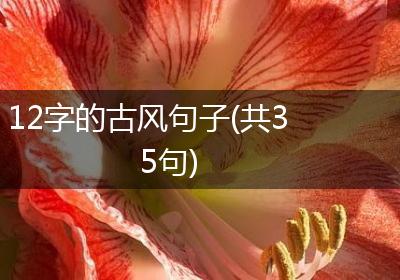 12字的古风句子(共35句)