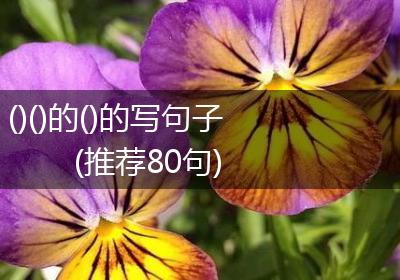 ()()的()的写句子(推荐80句)