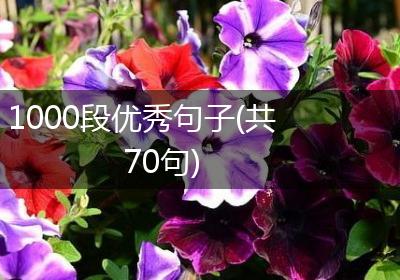 1000段优秀句子(共70句)