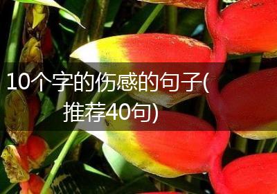 10个字的伤感的句子(推荐40句)