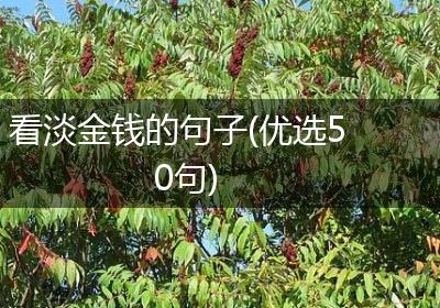 看淡金钱的句子(优选50句)