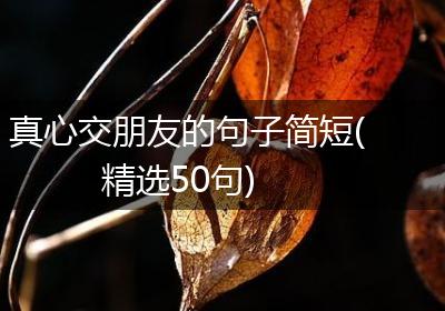 真心交朋友的句子简短(精选50句)