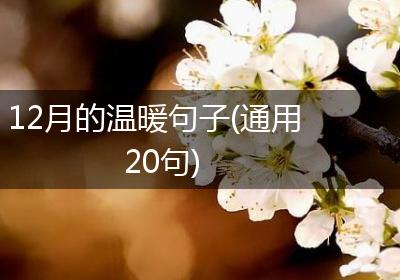 12月的温暖句子(通用20句)