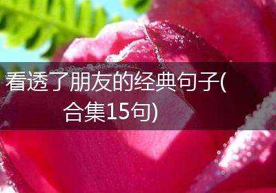 看透了朋友的经典句子(合集15句)