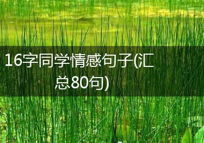 16字同学情感句子(汇总80句)