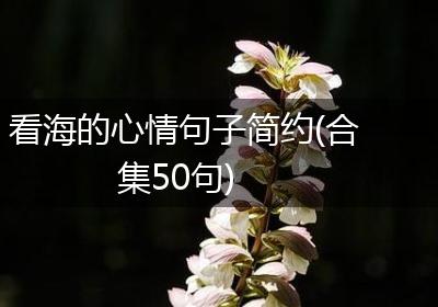 看海的心情句子简约(合集50句)