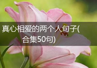 真心相爱的两个人句子(合集50句)