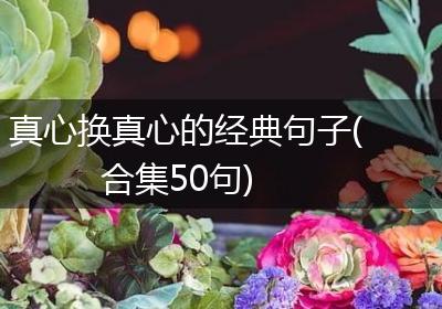 真心换真心的经典句子(合集50句)