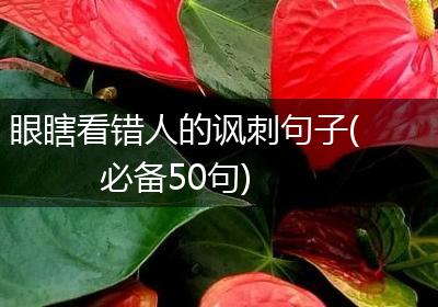 眼瞎看错人的讽刺句子(必备50句)