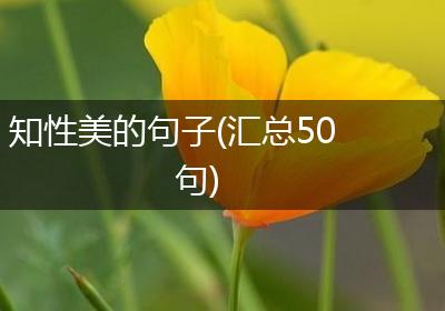 知性美的句子(汇总50句)
