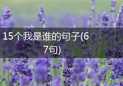 15个我是谁的句子(67句)